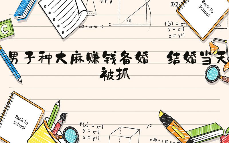 男子种大麻赚钱备婚 结婚当天被抓